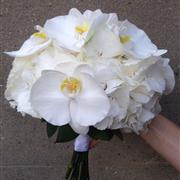 White Hydrangea and orchids