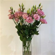 Lisianthus- Double Pink