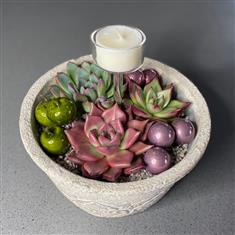 Echeveria bowl with candle