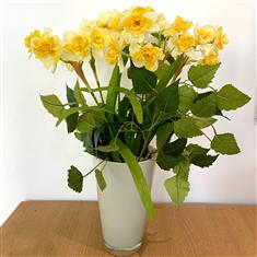  Daffodil vase display- silk