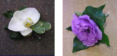 Buttonholes