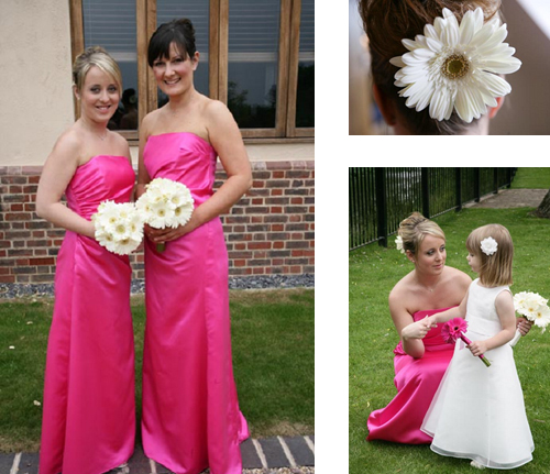 Large white gerbera bridesmaid posy Cerise Gerbera Wedding