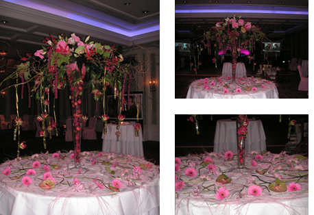 Fund Raising Ball Party Display