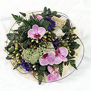 Posies