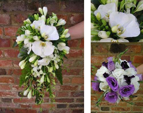 Phalaenopisis and Lisianthus