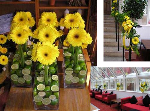 Yellow Gerbera and limes