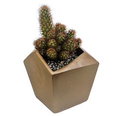 Cactus- Copper geometric design 