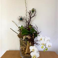 Modern Orchid and Succulent design in glass
