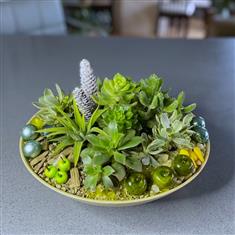 Succulent bowl- Green and Gold
