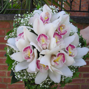 Pink Cymbidium orchid bouquet