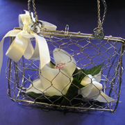 Cymbidium Orchid in wire Bag