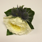 David Austin Rose Buttonhole