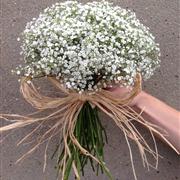 Gypsophila bridesmaids posy