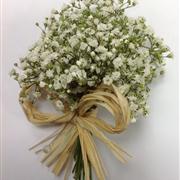 Gypsophila buttonhole