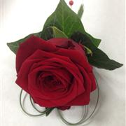 Red rose buttonhole 1