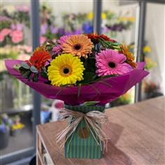 Gerbera Delight