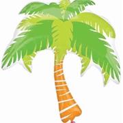 Palm Tree Supershape