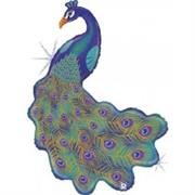 Peacock Balloon- Holographic 