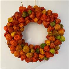  Physalis door ring