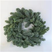 Pine Wreath- undecorated
