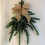 Swag of pine with natural bow 