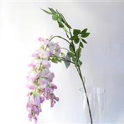 Wisteria- Pink