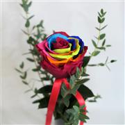 Forever Rainbow Rose