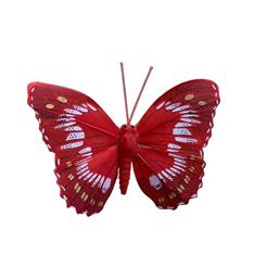 Bright Red Butterfly