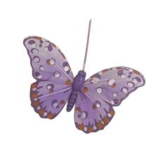 Lilac Butterfly