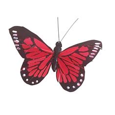 Red Butterfly