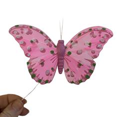 Add a Butterly