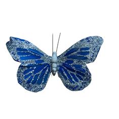 Blue Butterfly