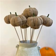 Pumpkin on Stick- Hessian