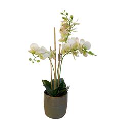 Artificial Orchid Plant