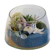 Vase Seaside display 