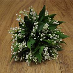 Lily of the Valley Bouquet