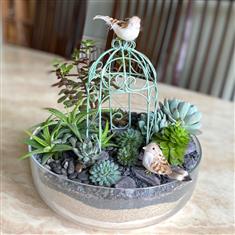 Succulent garden in glass bowl