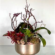 Modern Orchid and Succulent design in gold