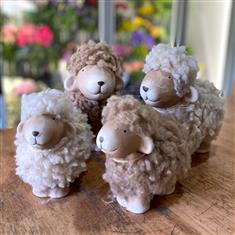Fluffy sheep- SALE