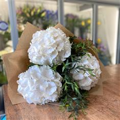 Hydrangea Bouquet- Classic white