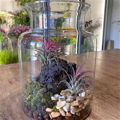 Tillandsia Jar