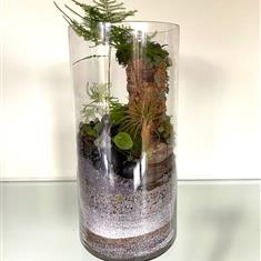  Open Terranium grey