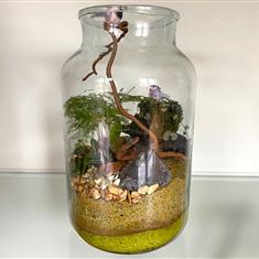  Open Terranium Jar