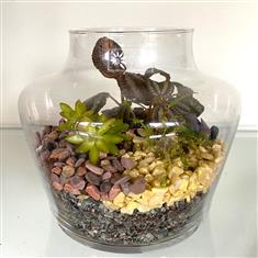  Open Terranium Fire Storm