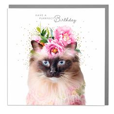 Card- Birthday- Ragdoll