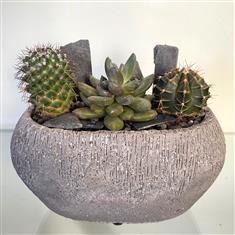 Cactus planter- grey