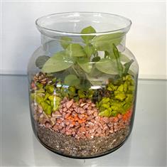  Open Terrarium- Green and Orange