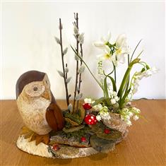 Owl on log display- silk