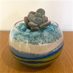 Succulent in glass bowl- Earth