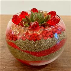 Ruby Glow Succulent Bowl